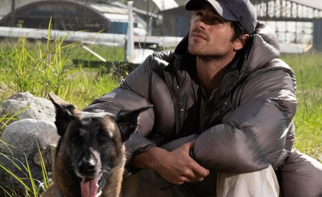 The Dog Stars: filme de Ridley Scott fracassa em teste